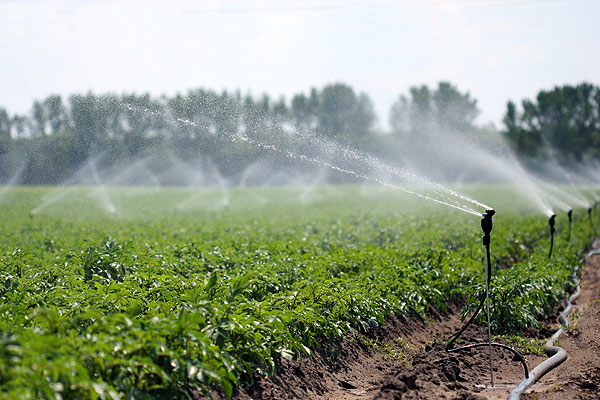 Netafim Meganet sz�nt�f�ldi mikrosz�r�fej